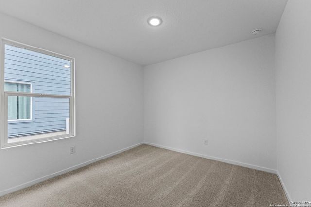 1851 Wood Warbler, New Braunfels, TX 78130