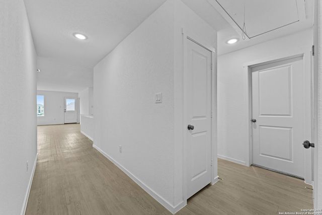 1851 Wood Warbler, New Braunfels, TX 78130