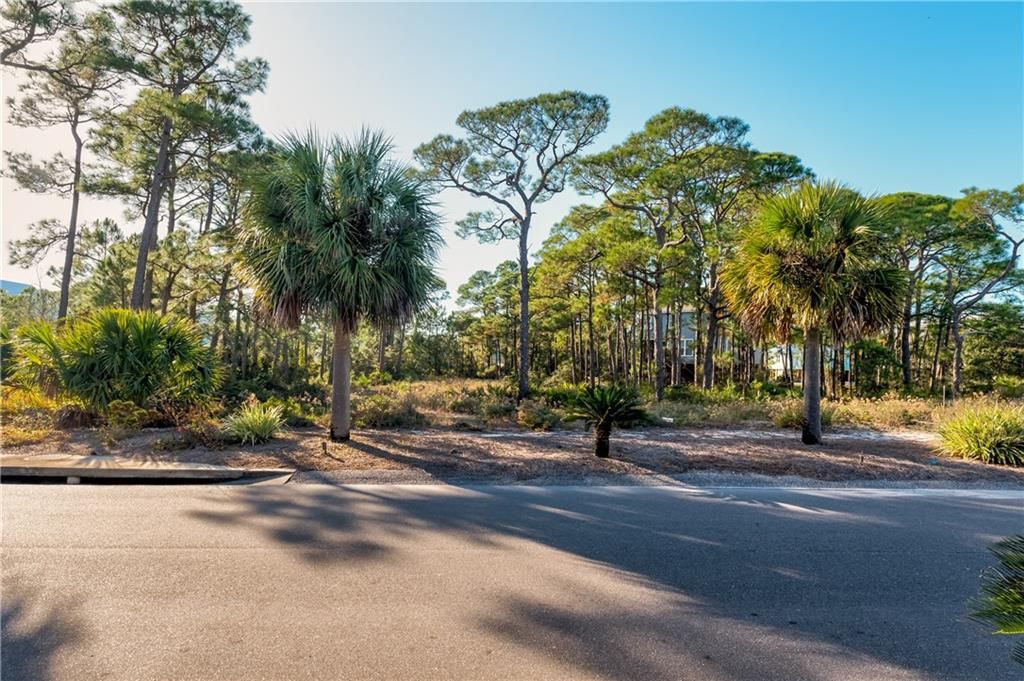 51 Hernando Street, Dauphin Island, AL 36528 — exterior