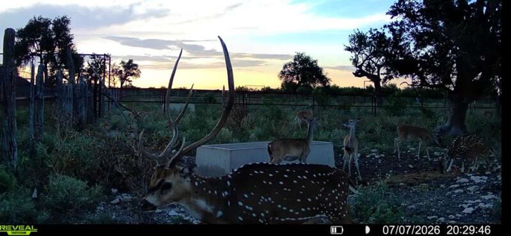 Image 18 of property listing at 0000 Ranch To Market Road 864, Sonora, TX 76950