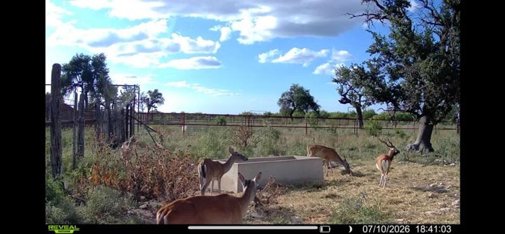 Image 20 of property listing at 0000 Ranch To Market Road 864, Sonora, TX 76950
