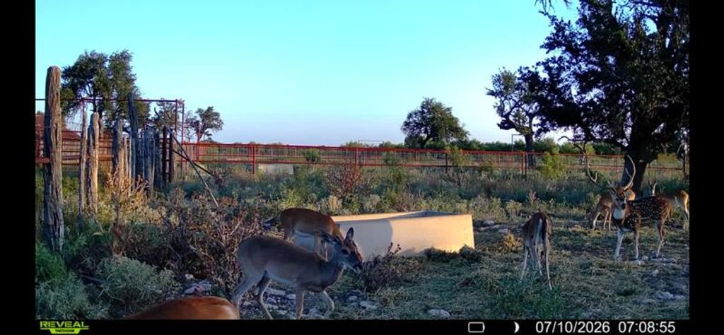 Image 21 of property listing at 0000 Ranch To Market Road 864, Sonora, TX 76950