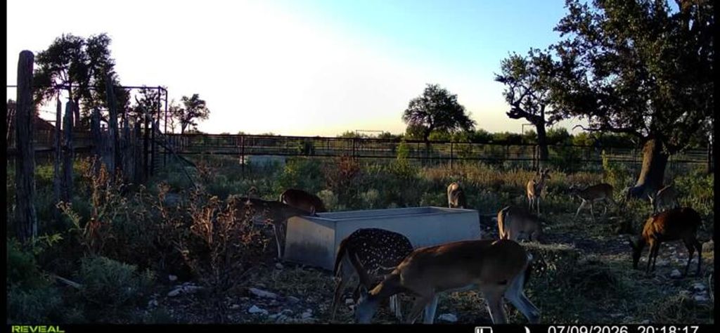 Image 22 of property listing at 0000 Ranch To Market Road 864, Sonora, TX 76950