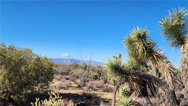 166 S Cattle Crossing Road, Yucca, AZ 86438