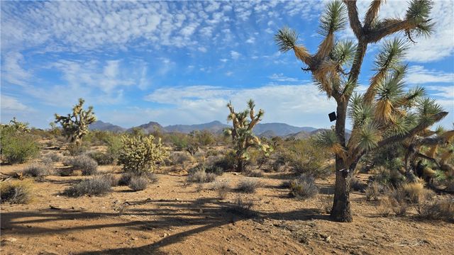 166 S Cattle Crossing Road, Yucca, AZ 86438