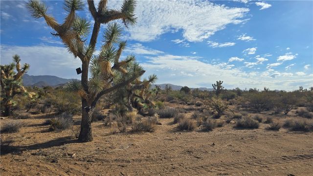 166 S Cattle Crossing Road, Yucca, AZ 86438