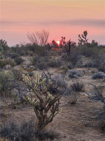 166 S Cattle Crossing Road, Yucca, AZ 86438