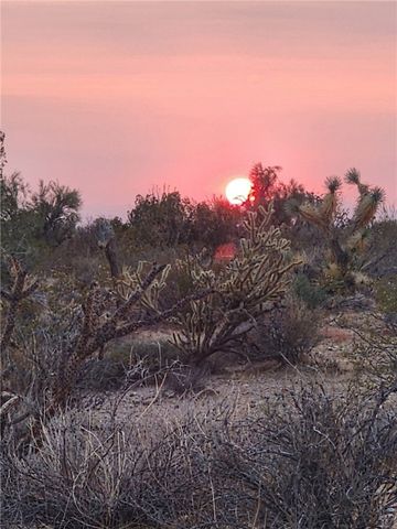 166 S Cattle Crossing Road, Yucca, AZ 86438