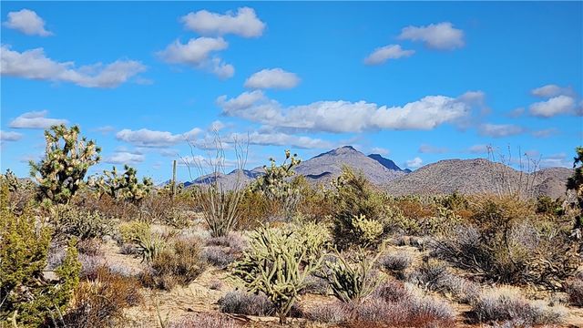 166 S Cattle Crossing Road, Yucca, AZ 86438