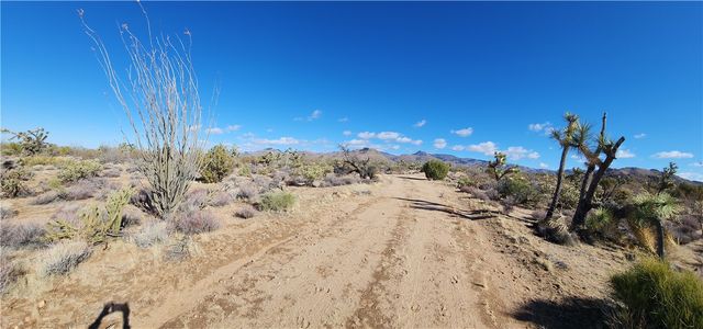166 S Cattle Crossing Road, Yucca, AZ 86438
