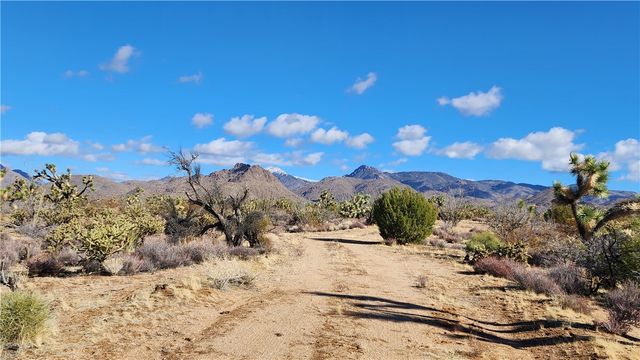 166 S Cattle Crossing Road, Yucca, AZ 86438