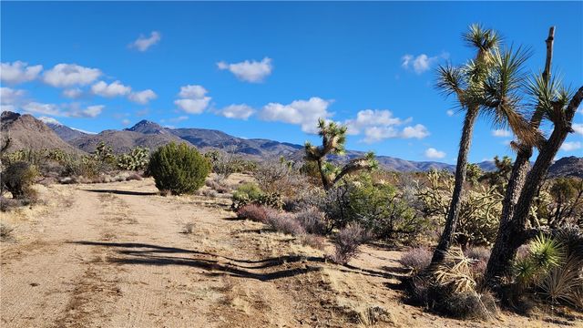 166 S Cattle Crossing Road, Yucca, AZ 86438