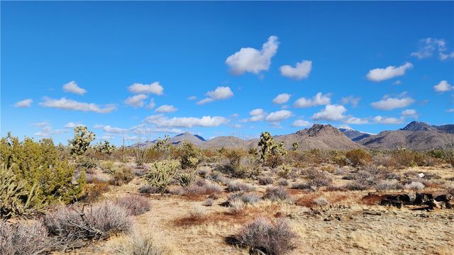 166 S Cattle Crossing Road, Yucca, AZ 86438