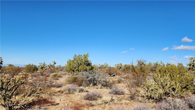 166 S Cattle Crossing Road, Yucca, AZ 86438
