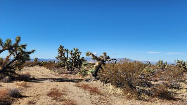 166 S Cattle Crossing Road, Yucca, AZ 86438