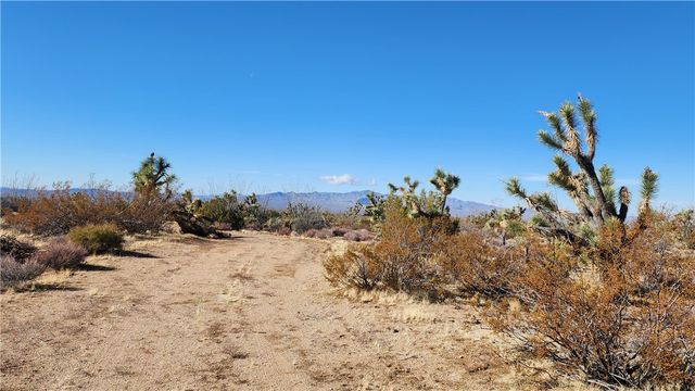 166 S Cattle Crossing Road, Yucca, AZ 86438