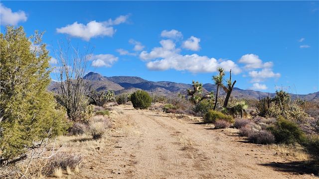 166 S Cattle Crossing Road, Yucca, AZ 86438