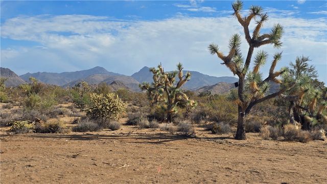 166 S Cattle Crossing Road, Yucca, AZ 86438