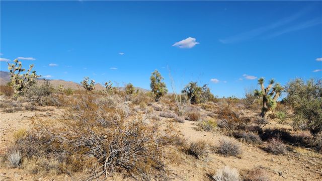 166 S Cattle Crossing Road, Yucca, AZ 86438