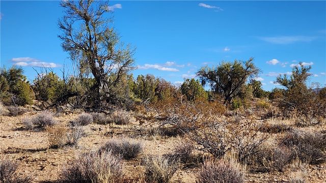 166 S Cattle Crossing Road, Yucca, AZ 86438