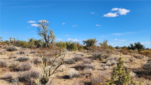 166 S Cattle Crossing Road, Yucca, AZ 86438