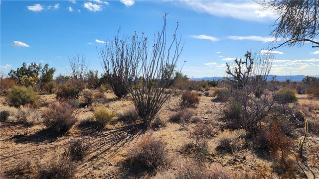 166 S Cattle Crossing Road, Yucca, AZ 86438