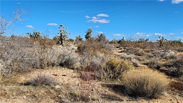 166 S Cattle Crossing Road, Yucca, AZ 86438