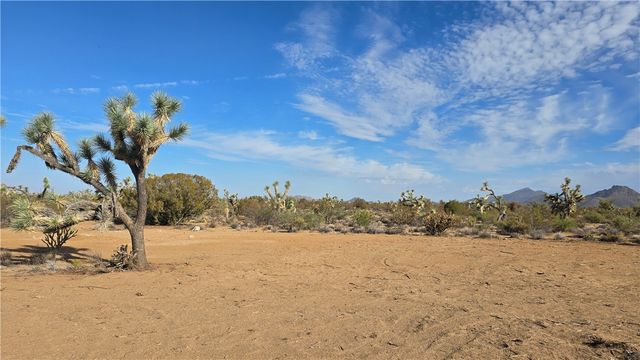 166 S Cattle Crossing Road, Yucca, AZ 86438