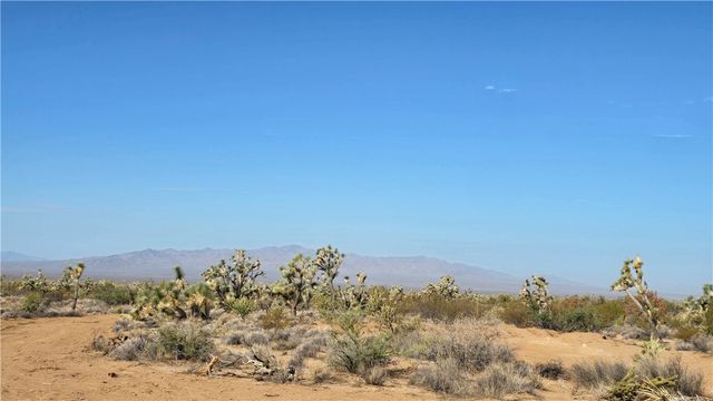 166 S Cattle Crossing Road, Yucca, AZ 86438