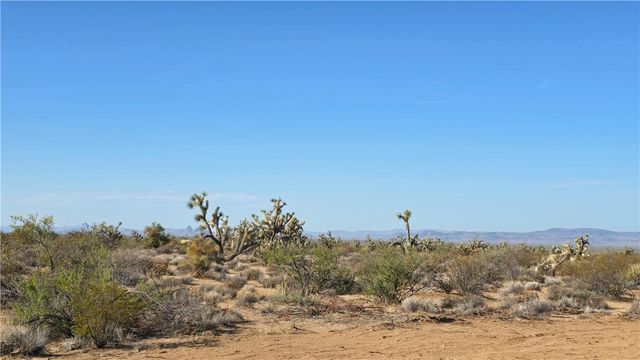 166 S Cattle Crossing Road, Yucca, AZ 86438