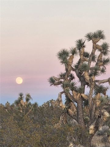 166 S Cattle Crossing Road, Yucca, AZ 86438