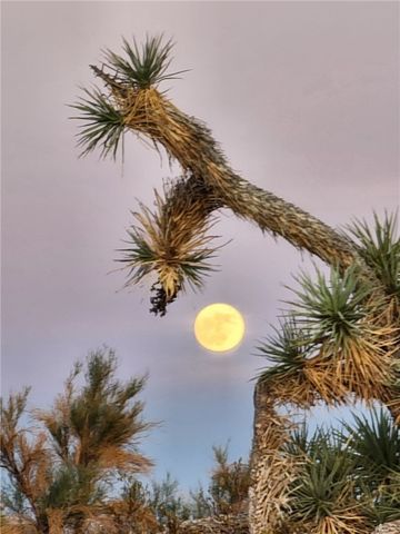 166 S Cattle Crossing Road, Yucca, AZ 86438