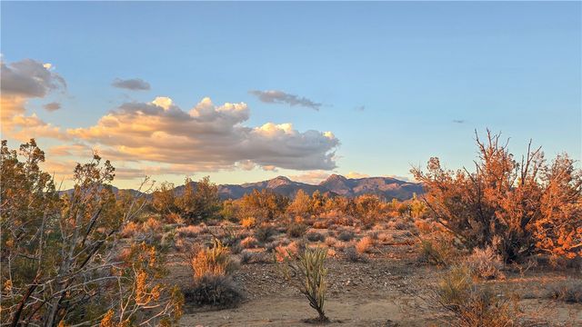 166 S Cattle Crossing Road, Yucca, AZ 86438