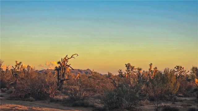 166 S Cattle Crossing Road, Yucca, AZ 86438