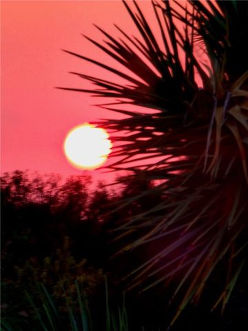 166 S Cattle Crossing Road, Yucca, AZ 86438