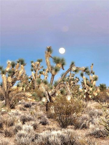 166 S Cattle Crossing Road, Yucca, AZ 86438