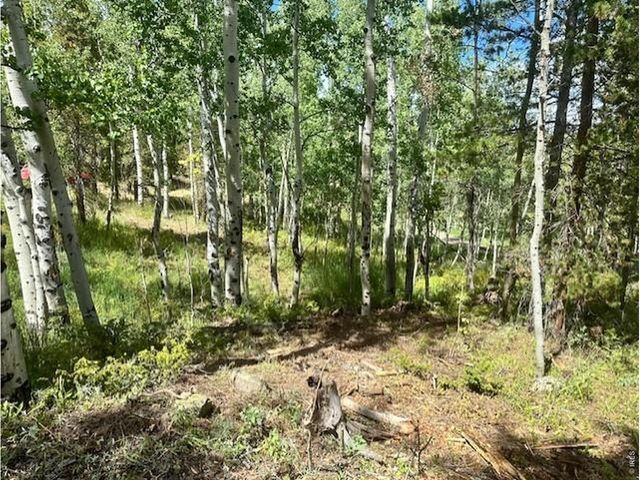 293 Aspen Cir, Black Hawk, CO 80422