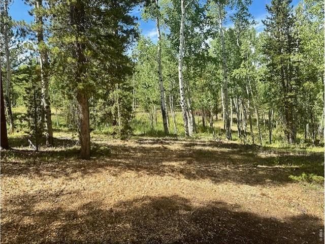 293 Aspen Cir, Black Hawk, CO 80422