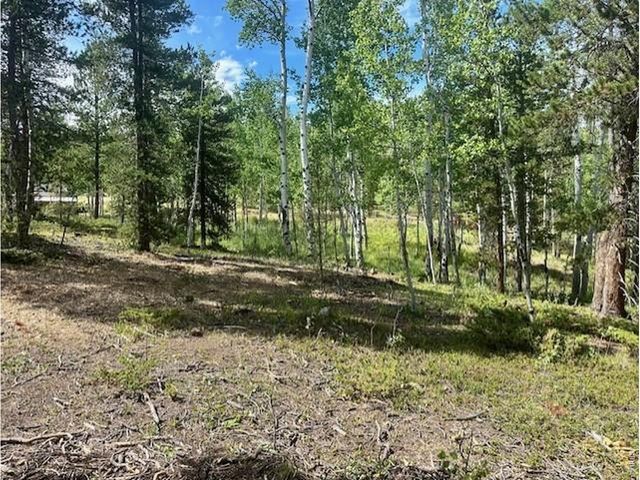 293 Aspen Cir, Black Hawk, CO 80422