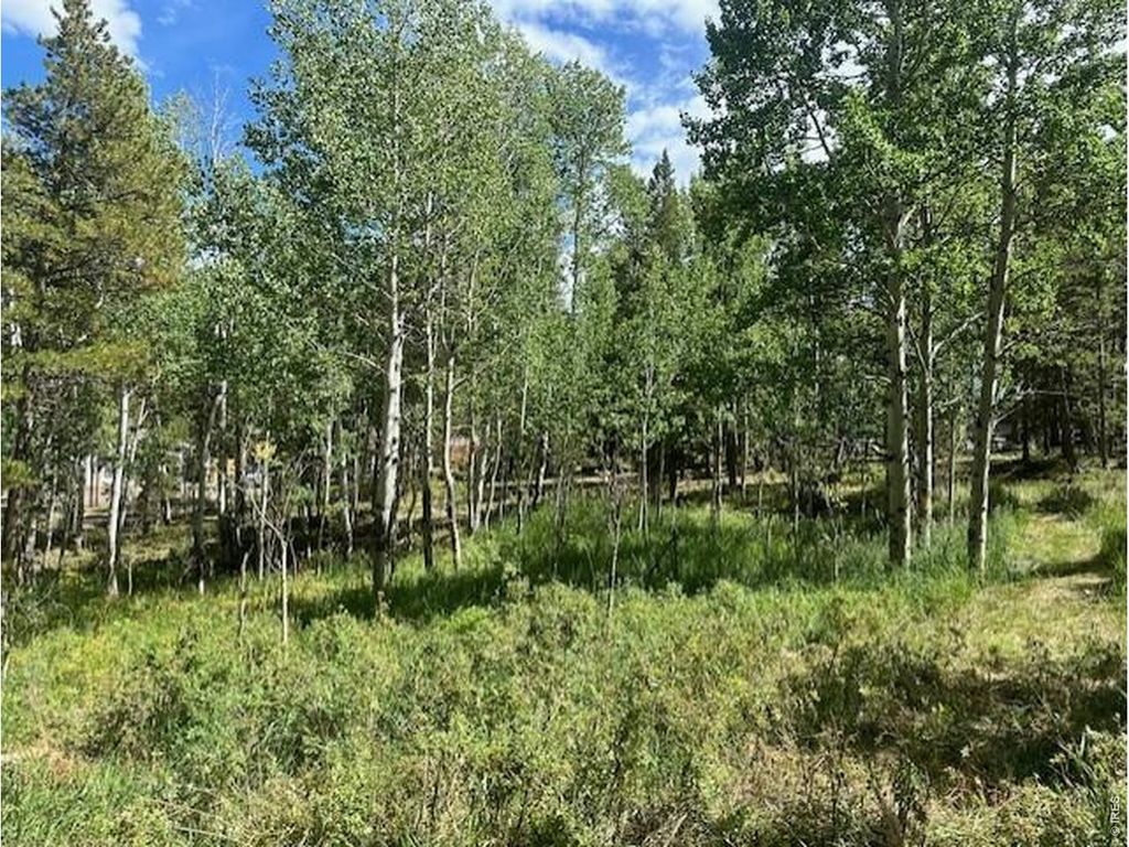293 Aspen Cir, Black Hawk, CO 80422