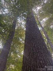Lot 4 Edgewood Road, Wilkesboro, NC 28670