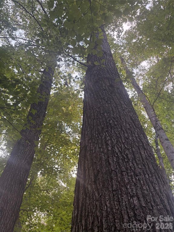 Lot 4 Edgewood Road, Wilkesboro, NC 28670