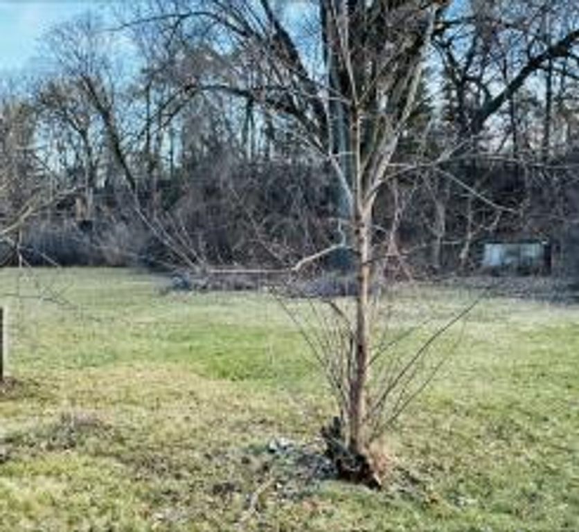 16XX Woodbury Road, Newport, MN 55055 — photo 2