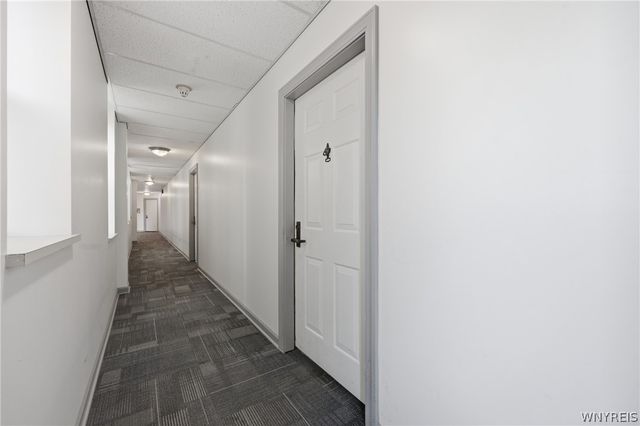 900 Delaware Avenue 203, Buffalo, NY 14209