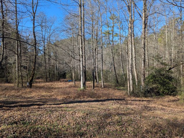 940 Fowler, Ellijay, GA 30540