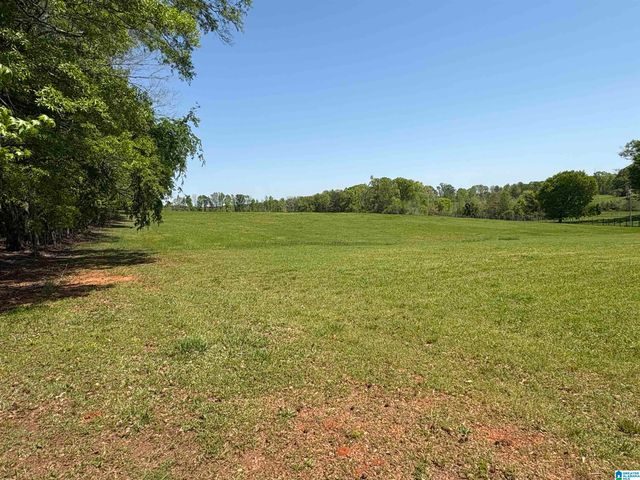 1406 HIGHWAY 22, Alexander City, AL 35010