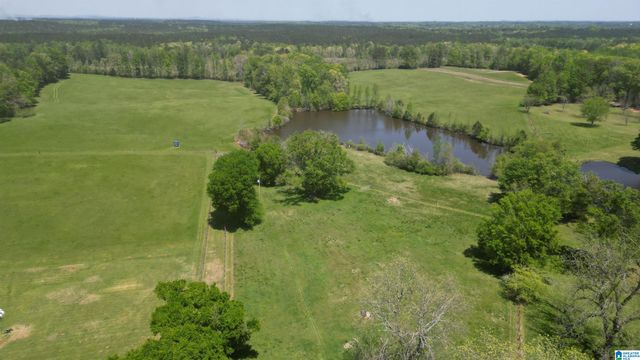 1406 HIGHWAY 22, Alexander City, AL 35010