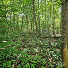 99999 Campground Road, Asheville, NC 28805
