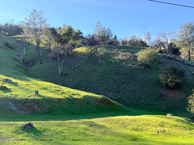 15333 Mountain Shadows Drive, Redding, CA 96001