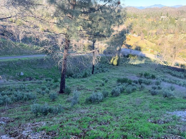 15333 Mountain Shadows Drive, Redding, CA 96001